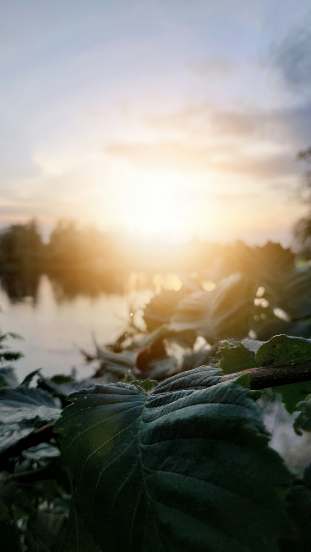 the sun is setting over a body of water