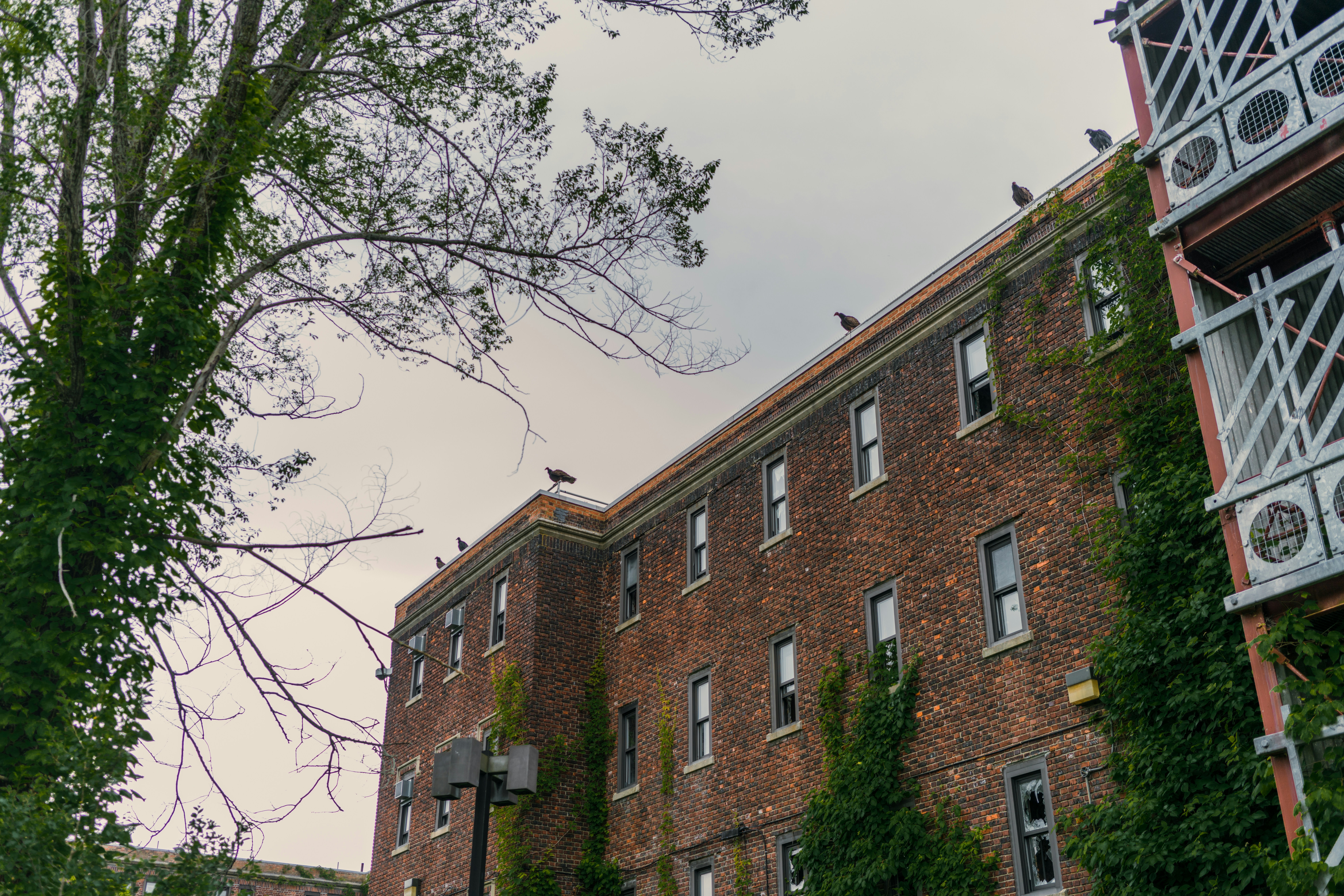 Photo by tylerdonaghy