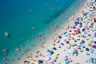 group of people swimming on beach