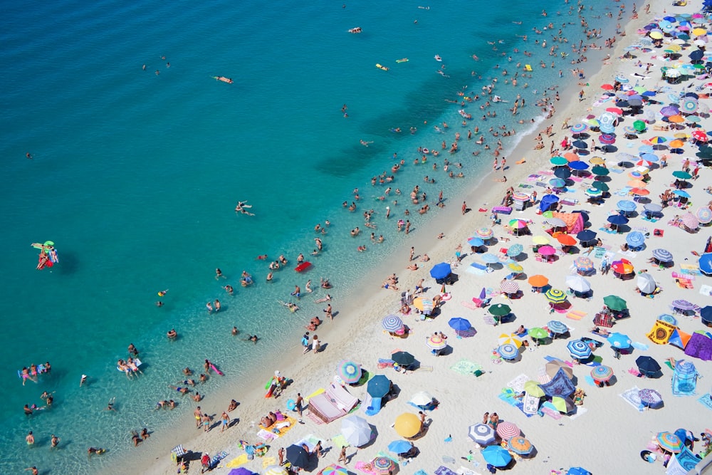 group of people swimming on beach