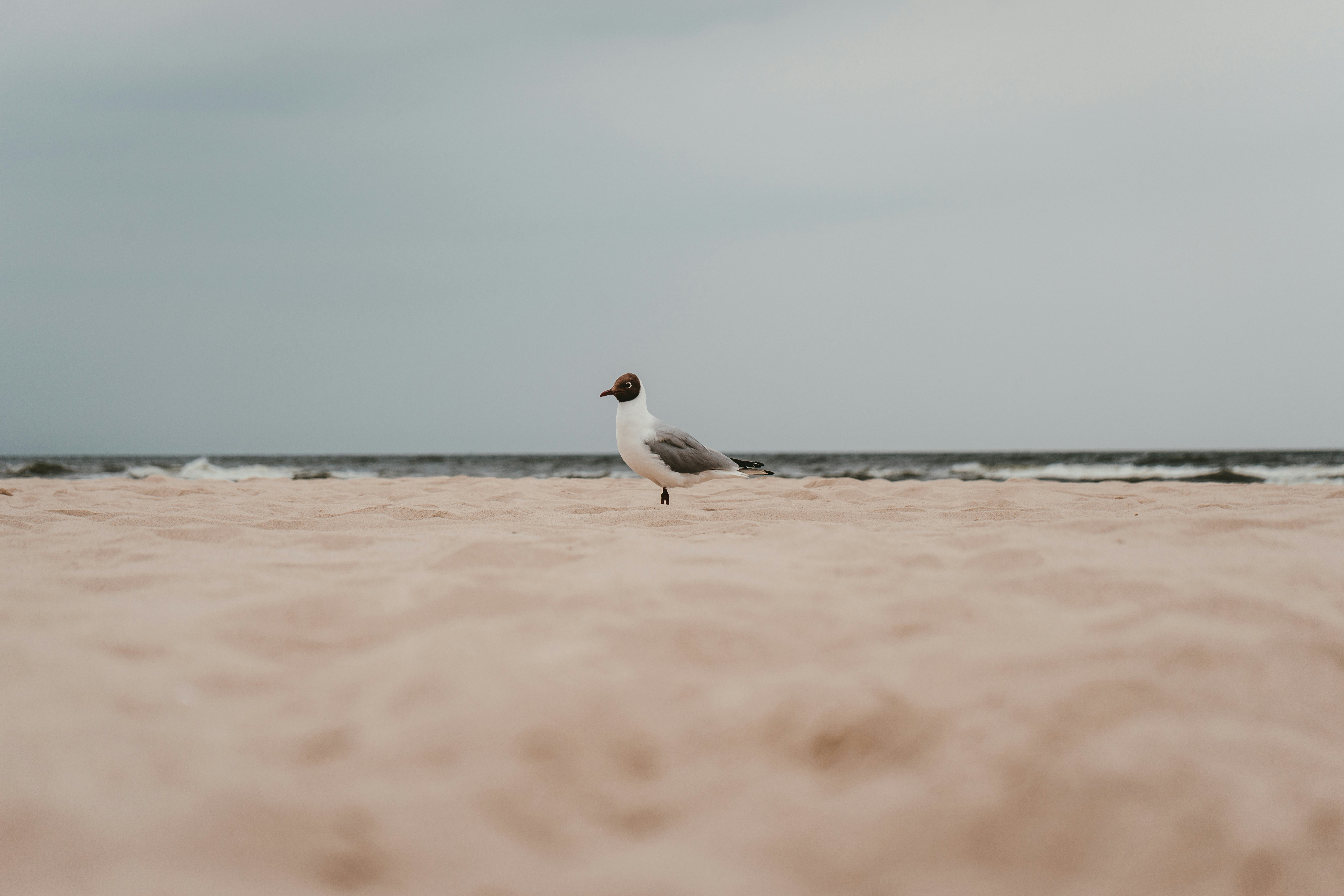 Photo by julianhochgesang
