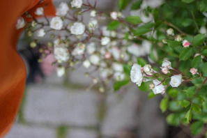 Close-up of wildflowers blooming along the stone path leading to the entrance