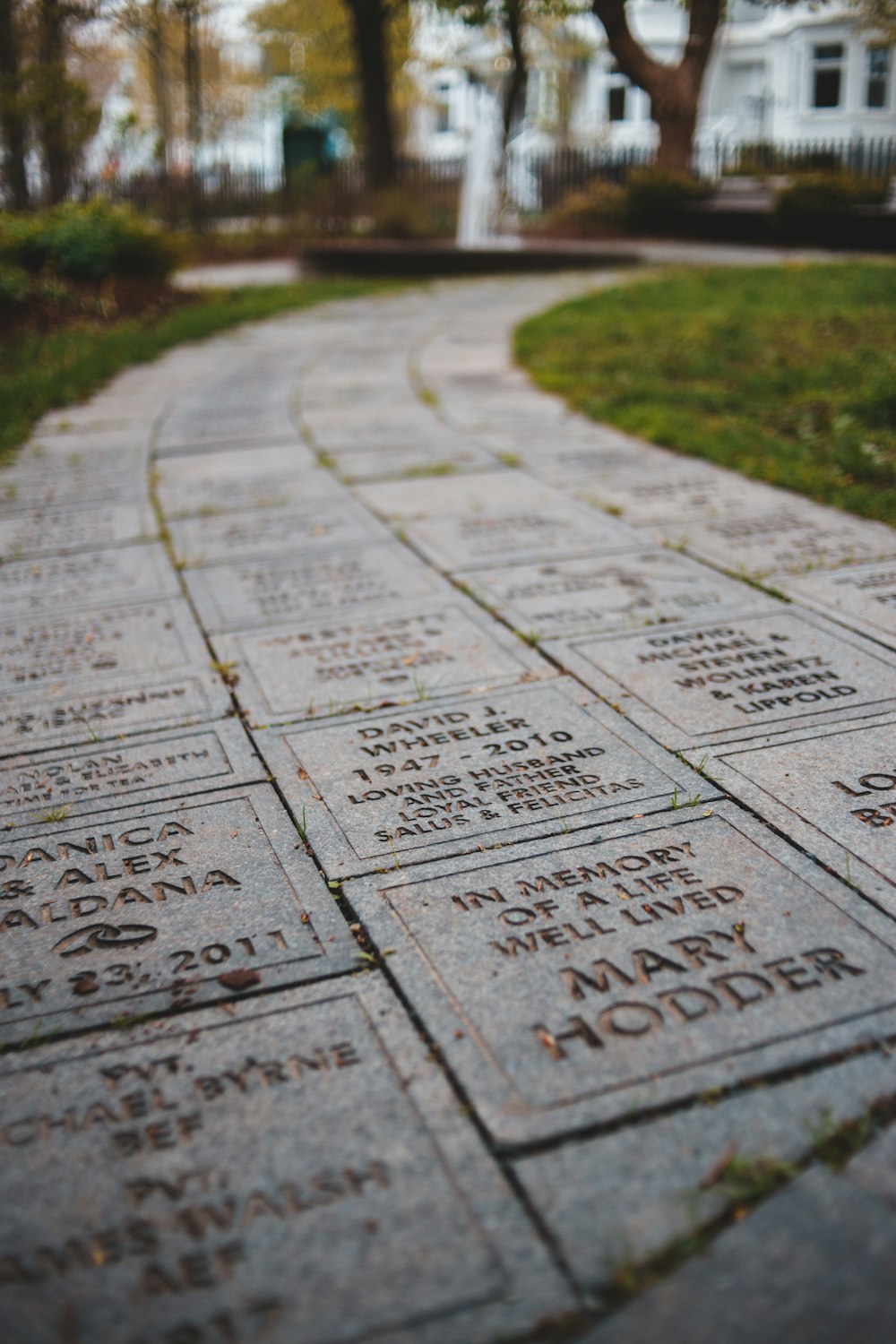 gray concrete pathway during daytime