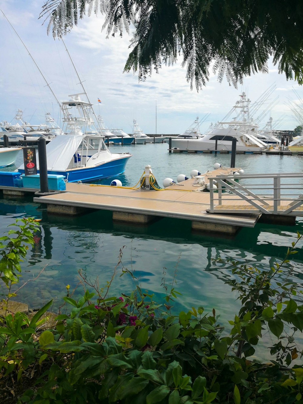 blue boat near dock