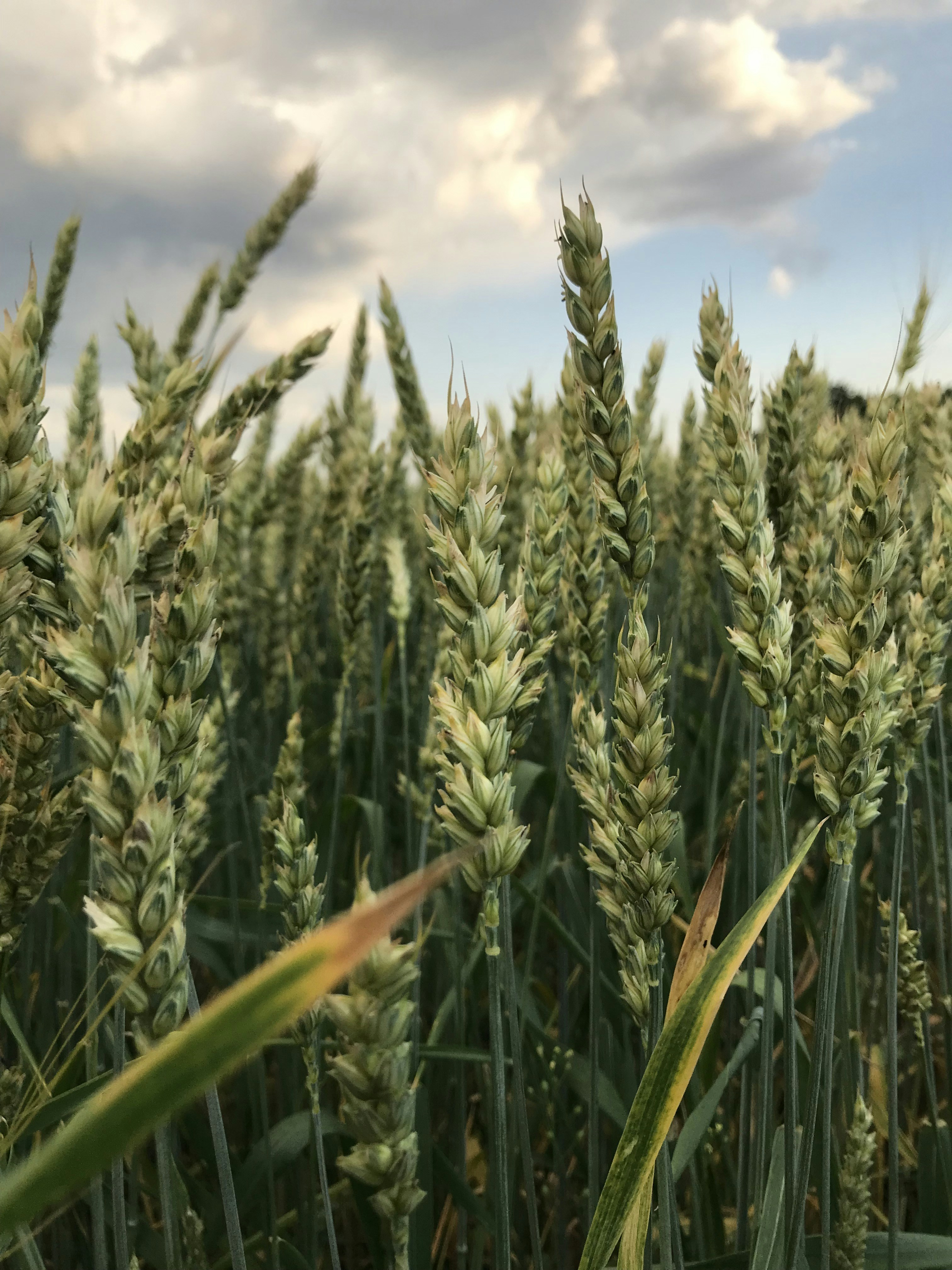 Photo by matilda66034