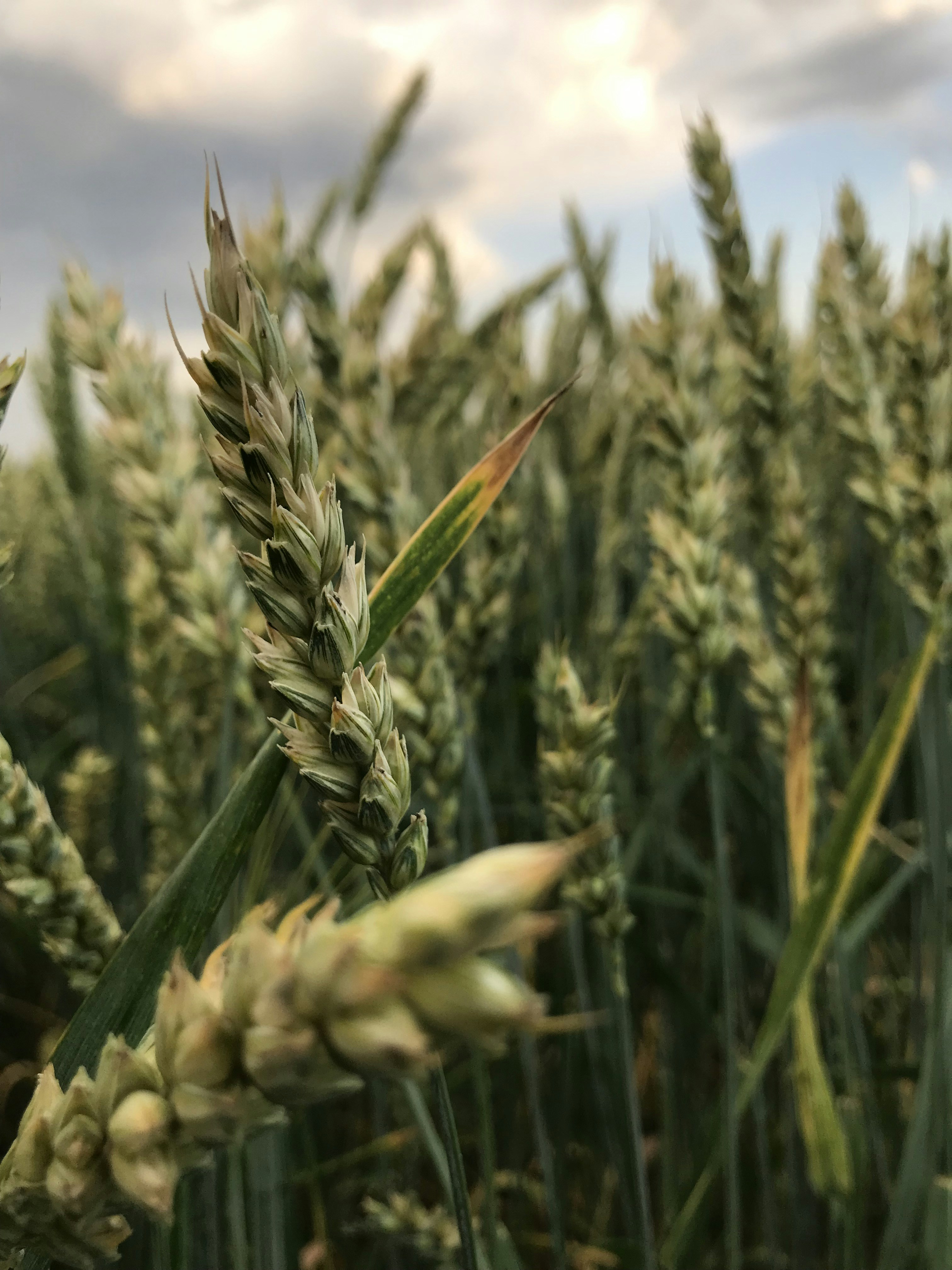 Photo by matilda66034