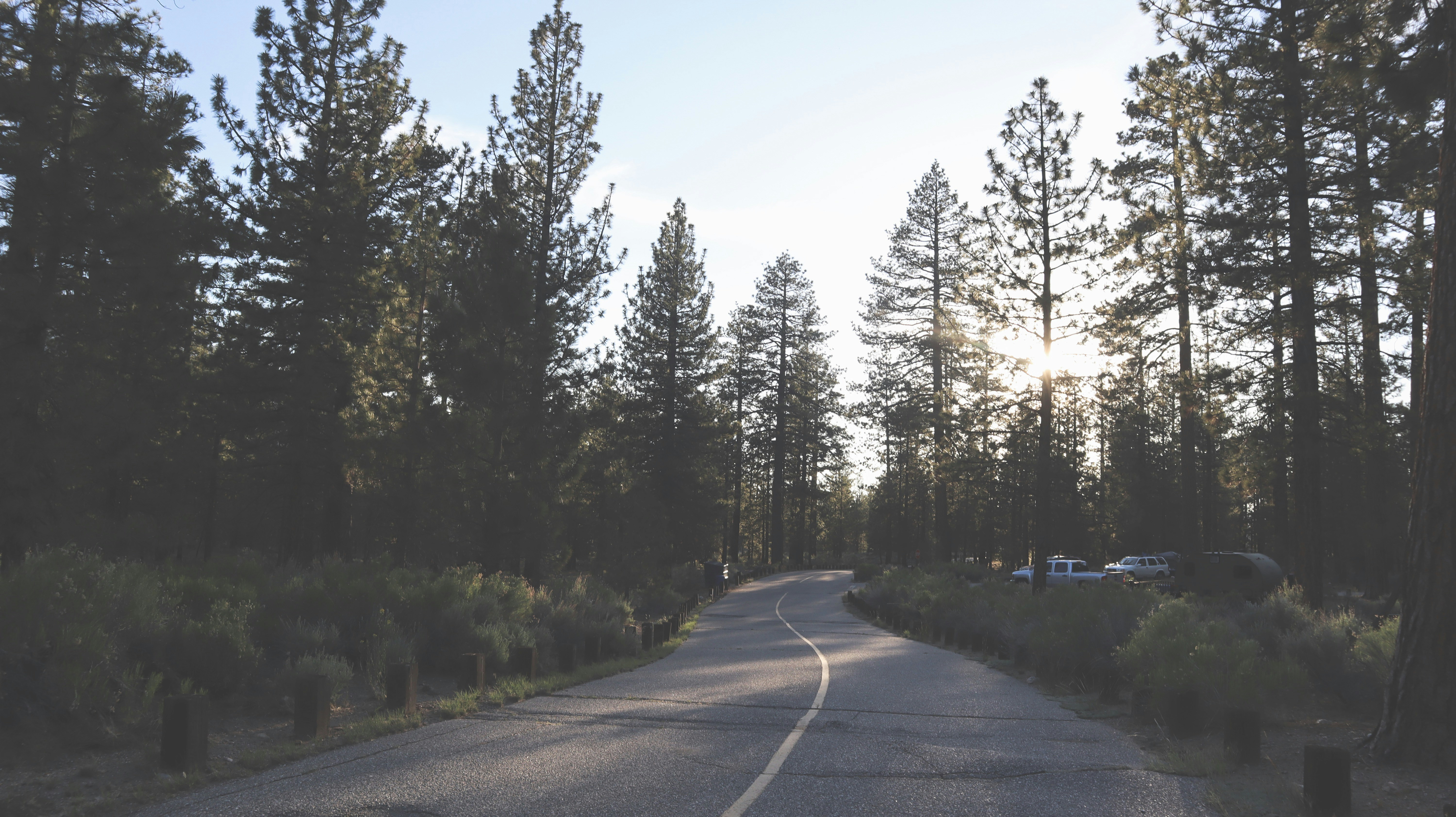 Photo by pnavarro199