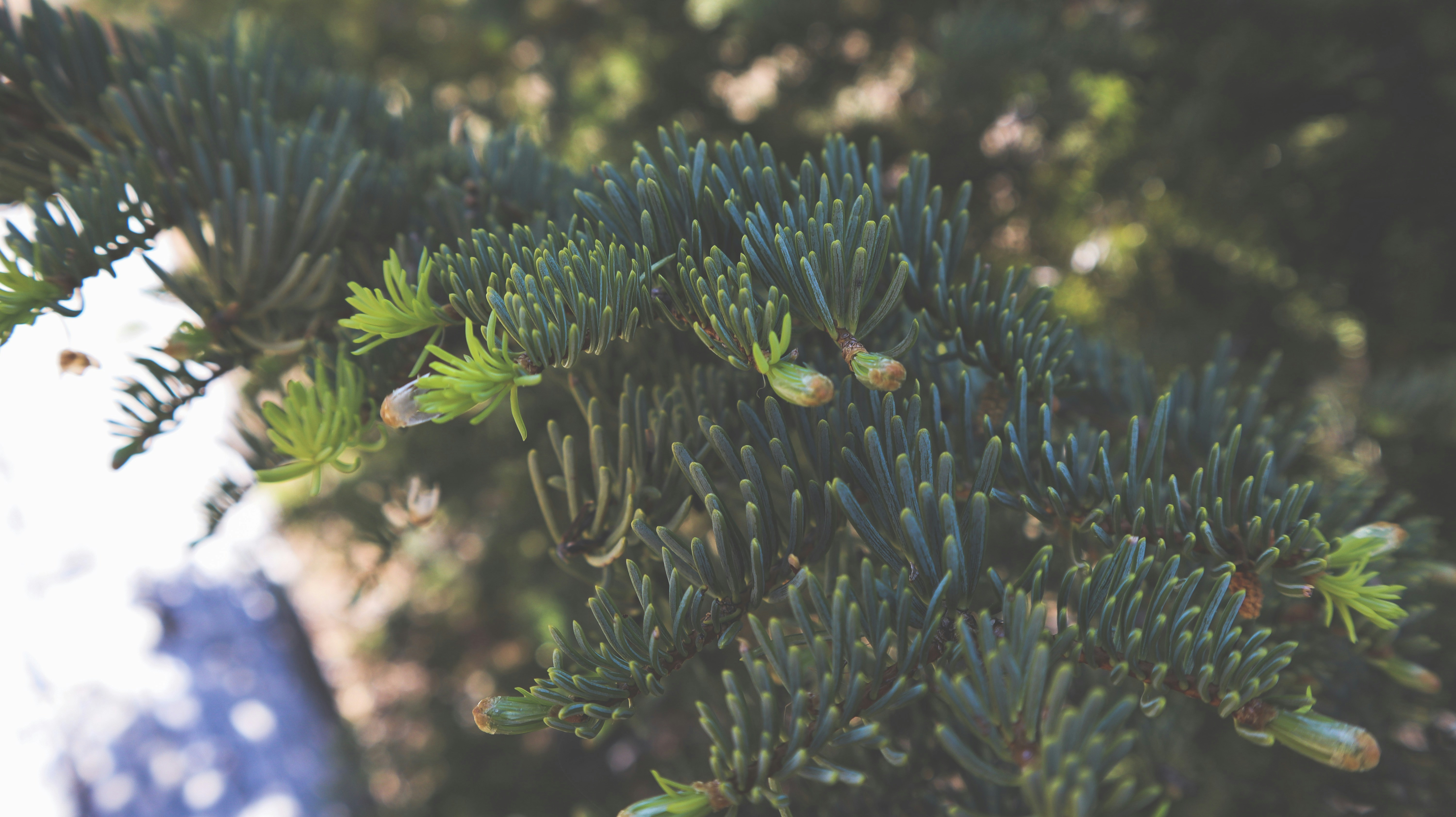 Photo by pnavarro199