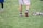 A person wearing sports shoes and patterned shorts stands on a grassy field, with various sports equipment like gloves and a helmet placed on the ground nearby.