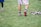 A person wearing sports shoes and patterned shorts stands on a grassy field, with various sports equipment like gloves and a helmet placed on the ground nearby.