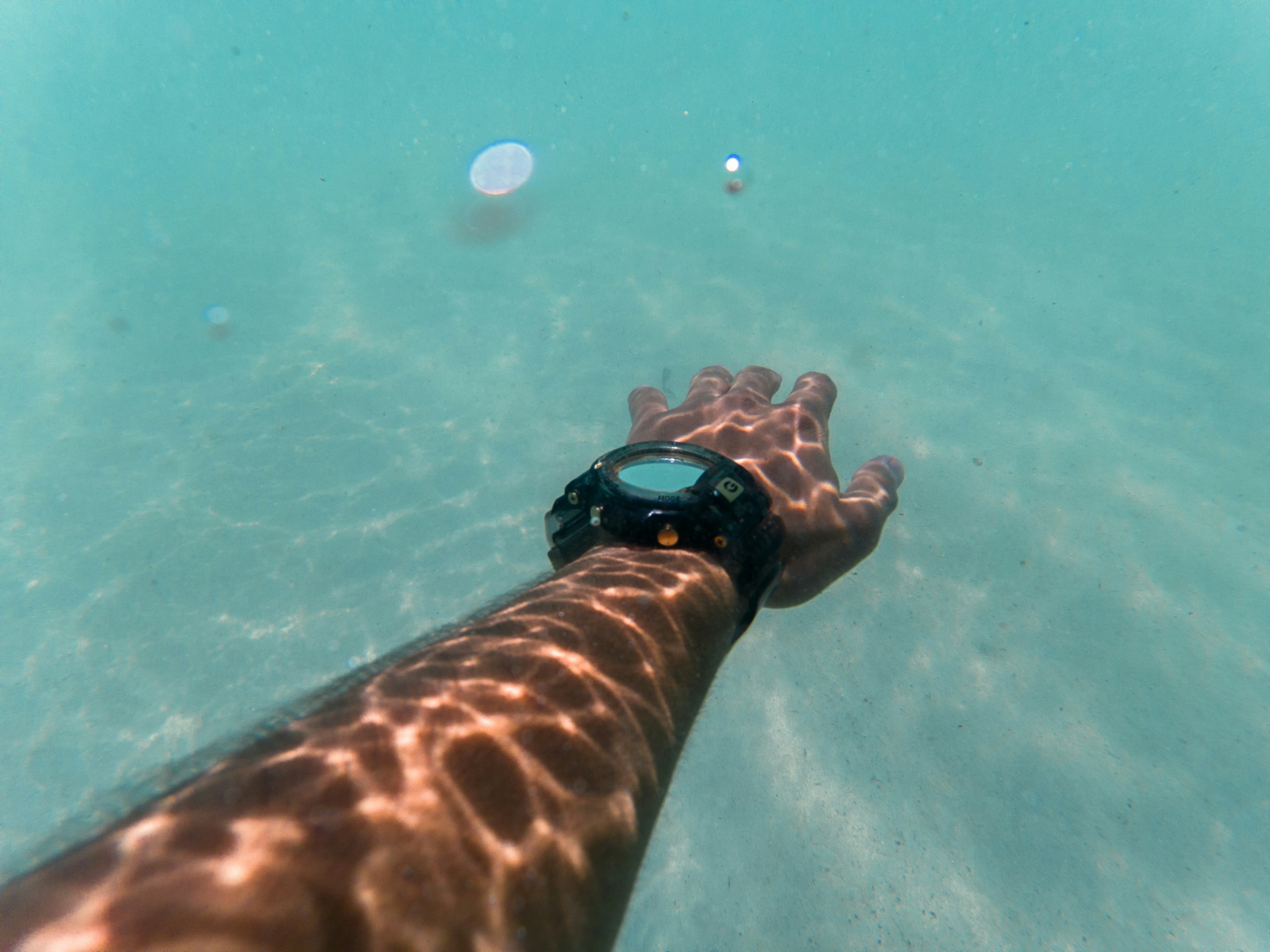 Person wearing black watch underwater