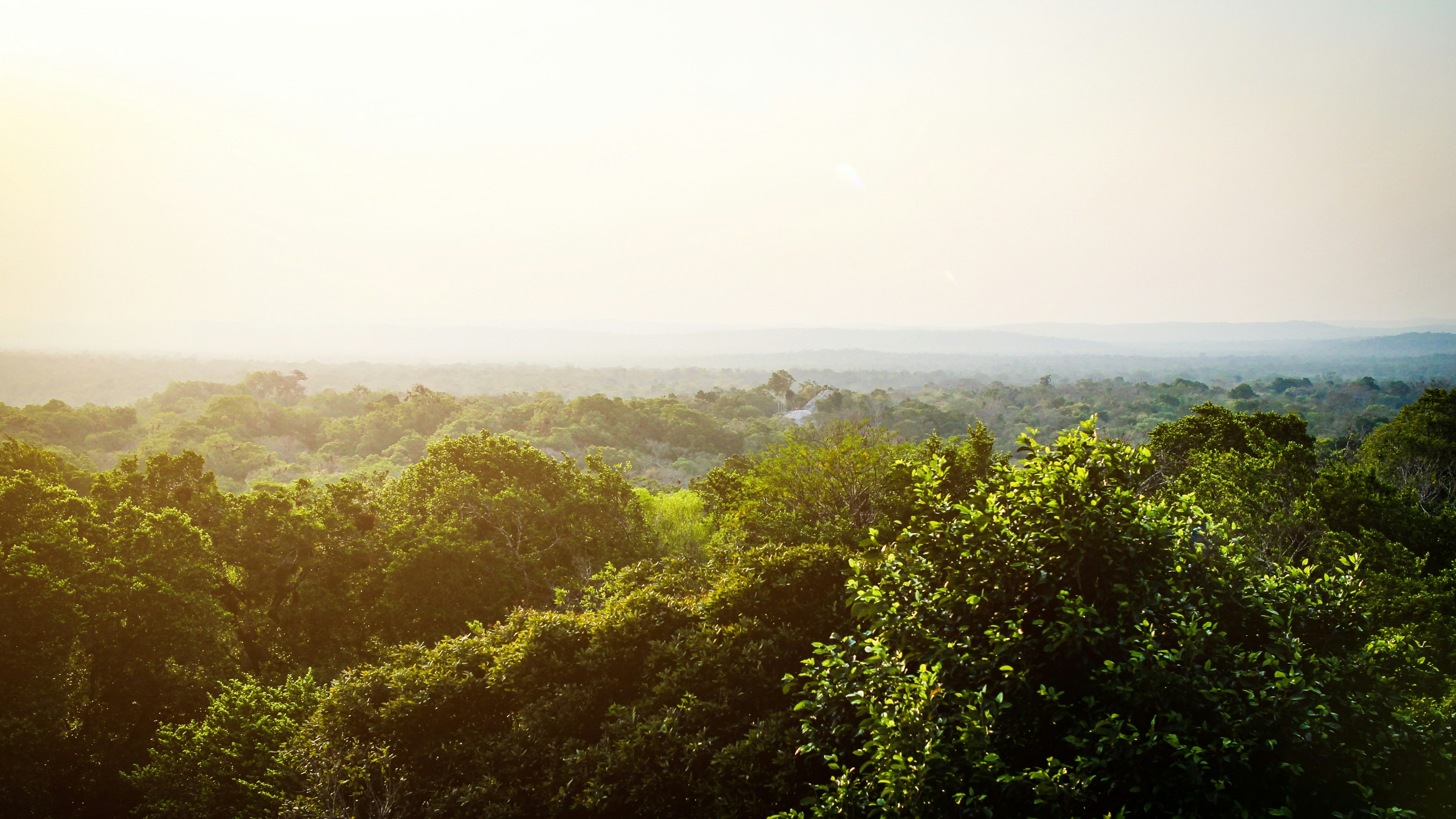 Photo by matteo_massimi