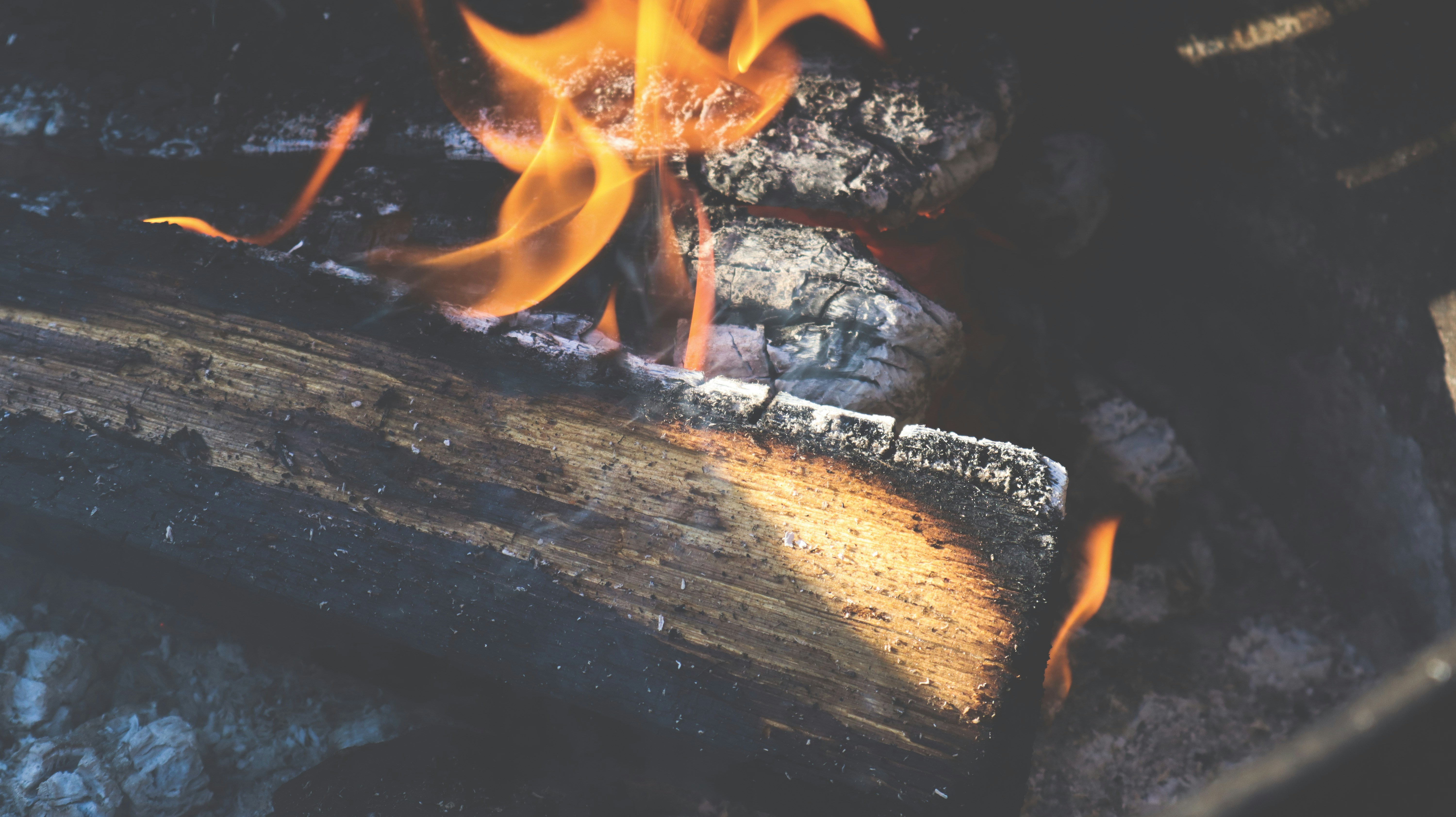 Photo by pnavarro199