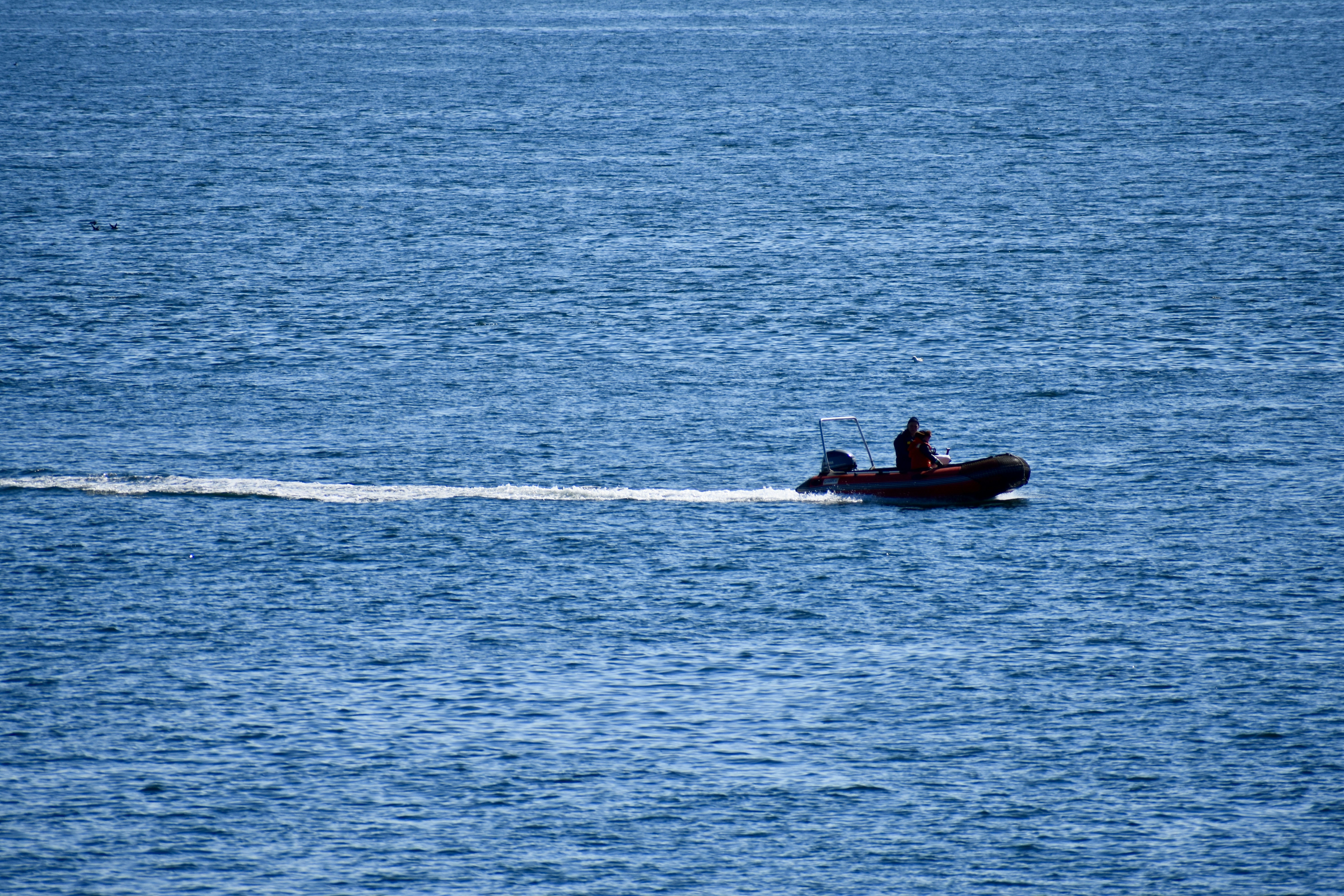 Photo by newman16661