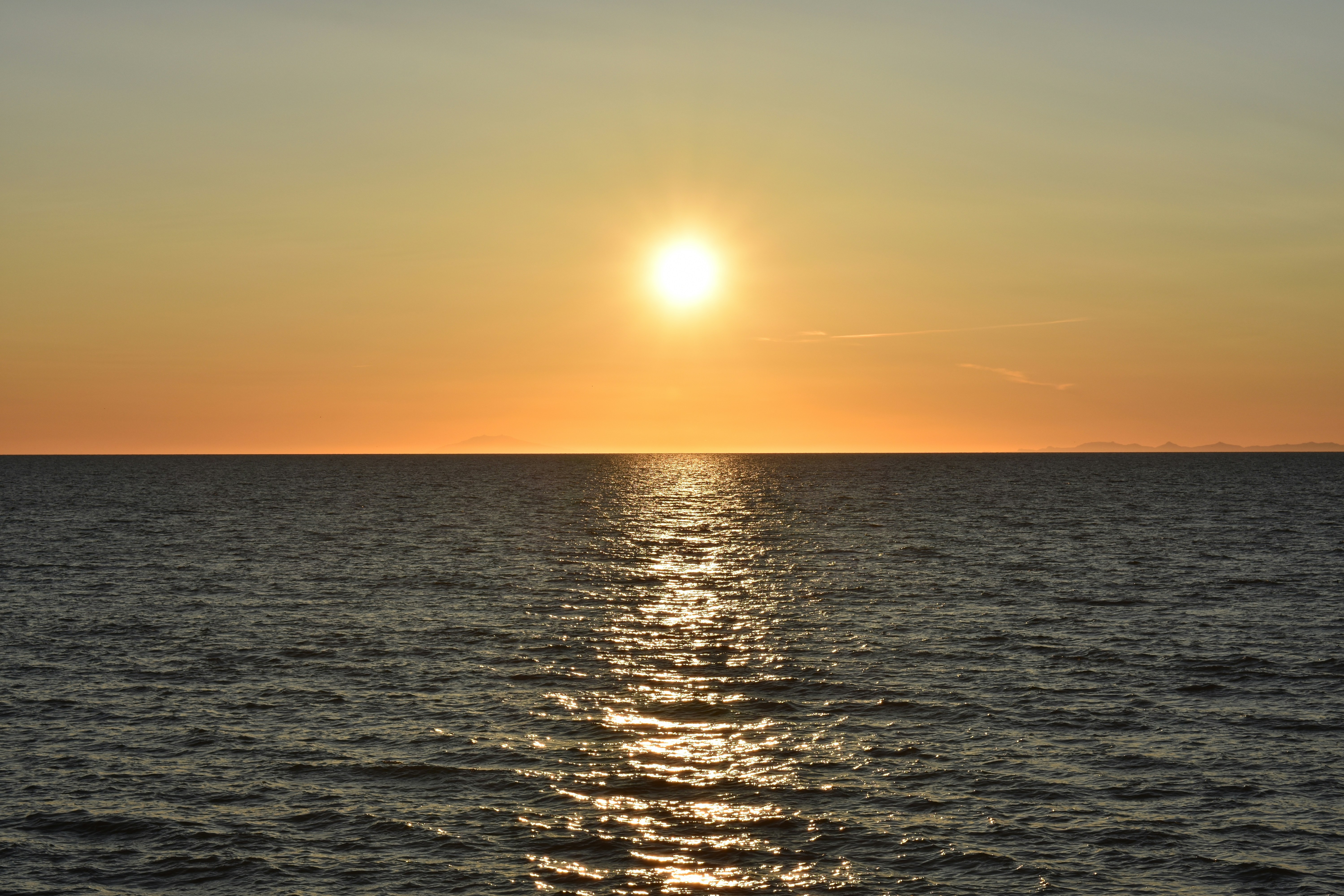 Photo by newman16661