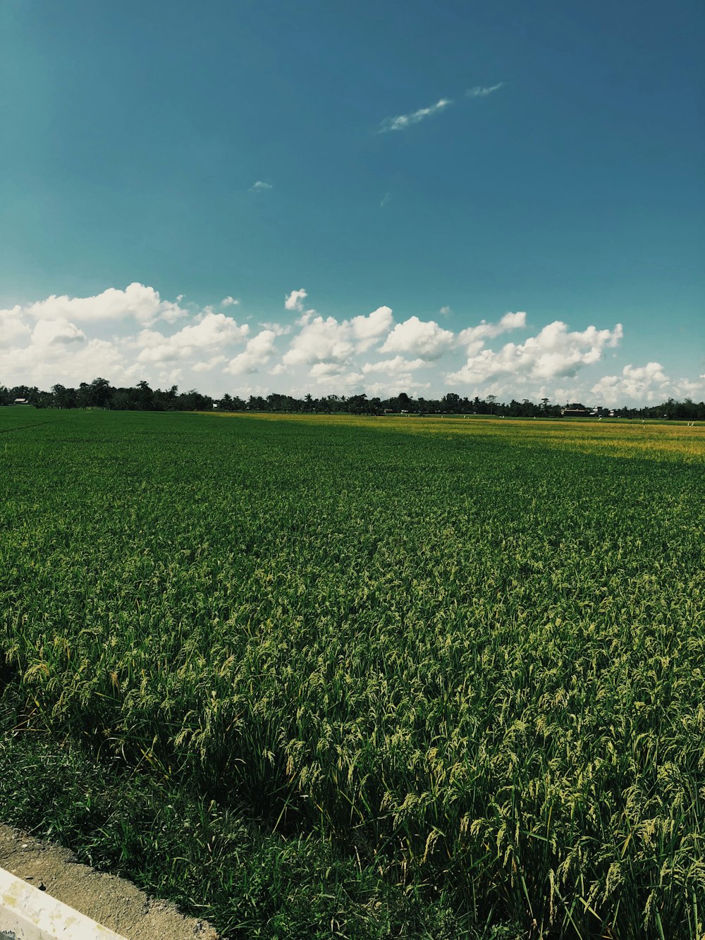 green fields across white clouds during daytime