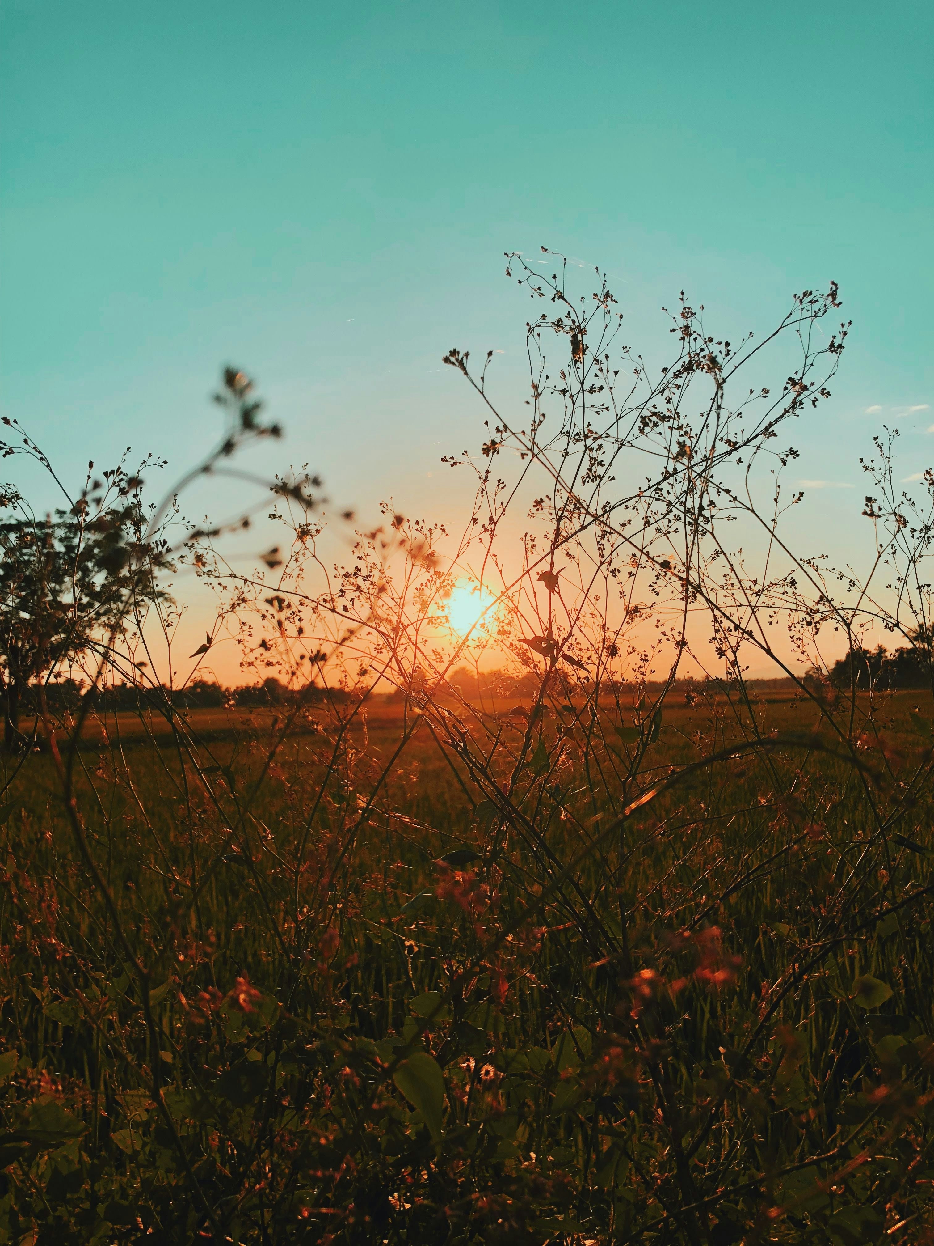 Photo by ptrzf