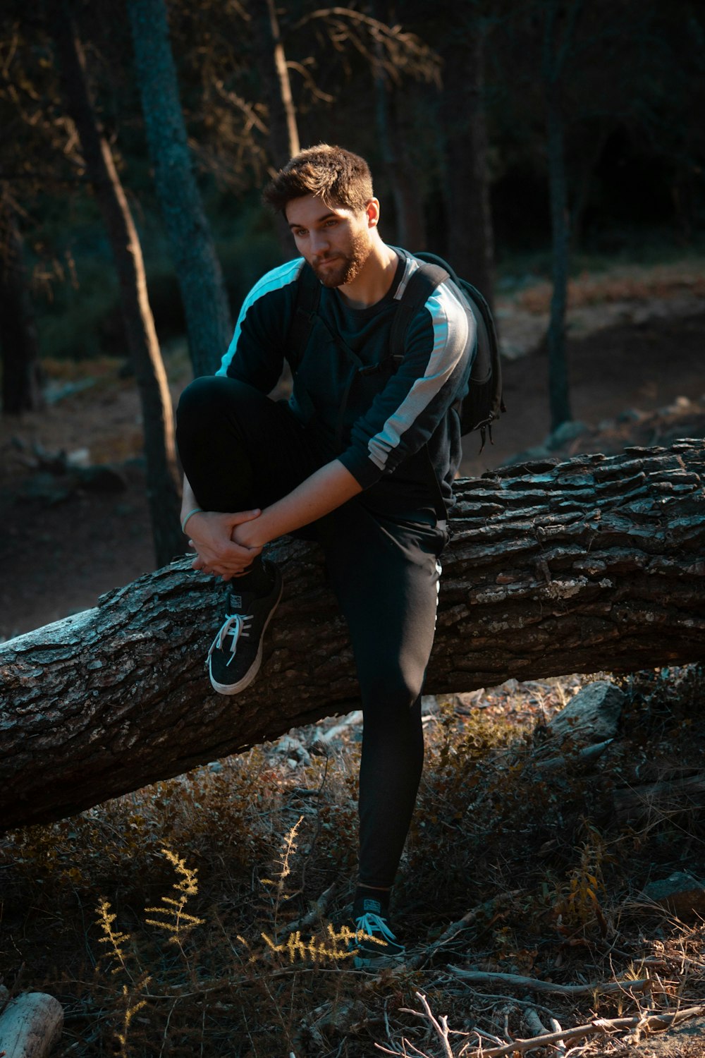 man wearing black and white long-sleeved shirt sitting on tree branch