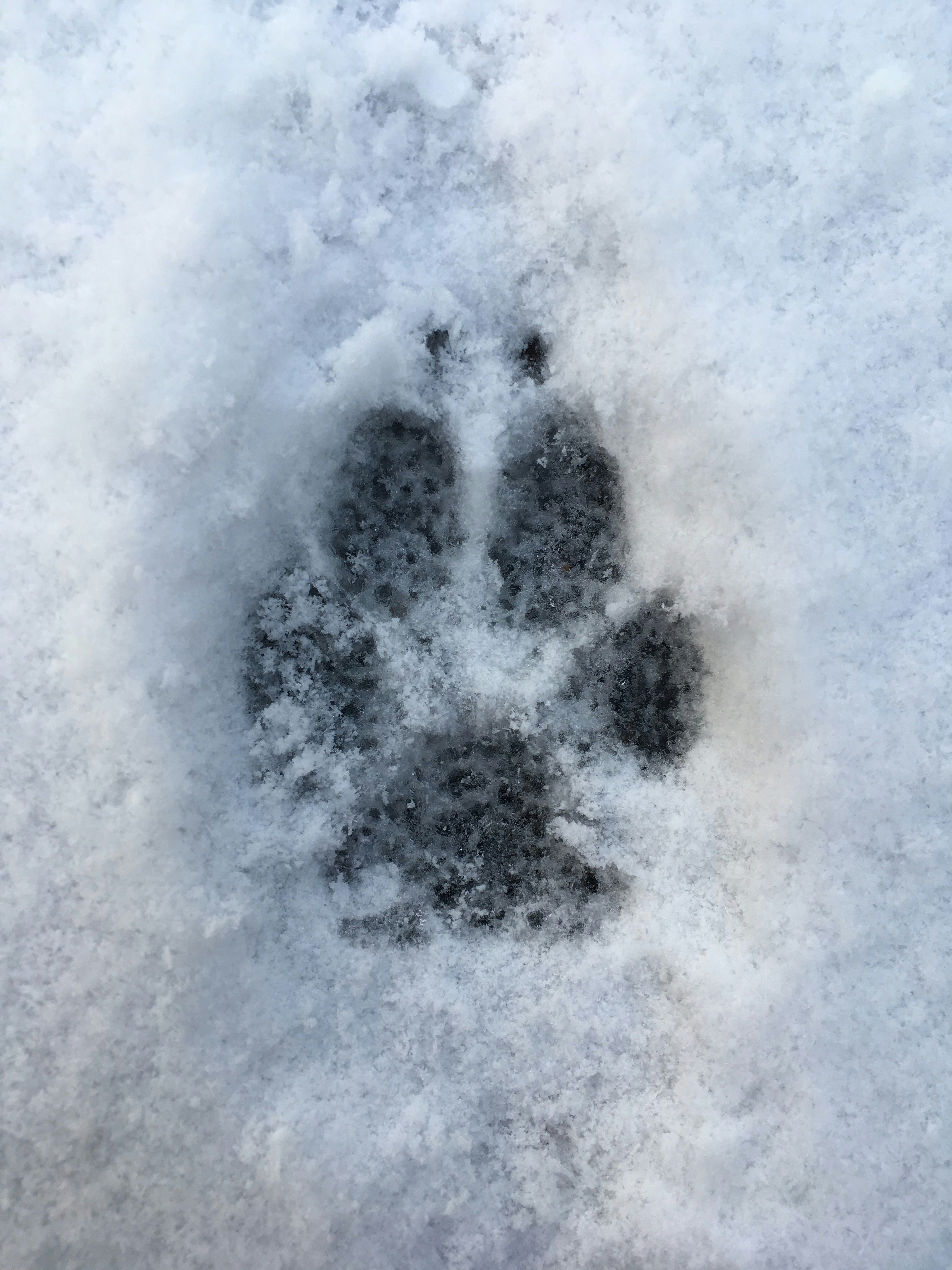 Photo by emma_rose_12