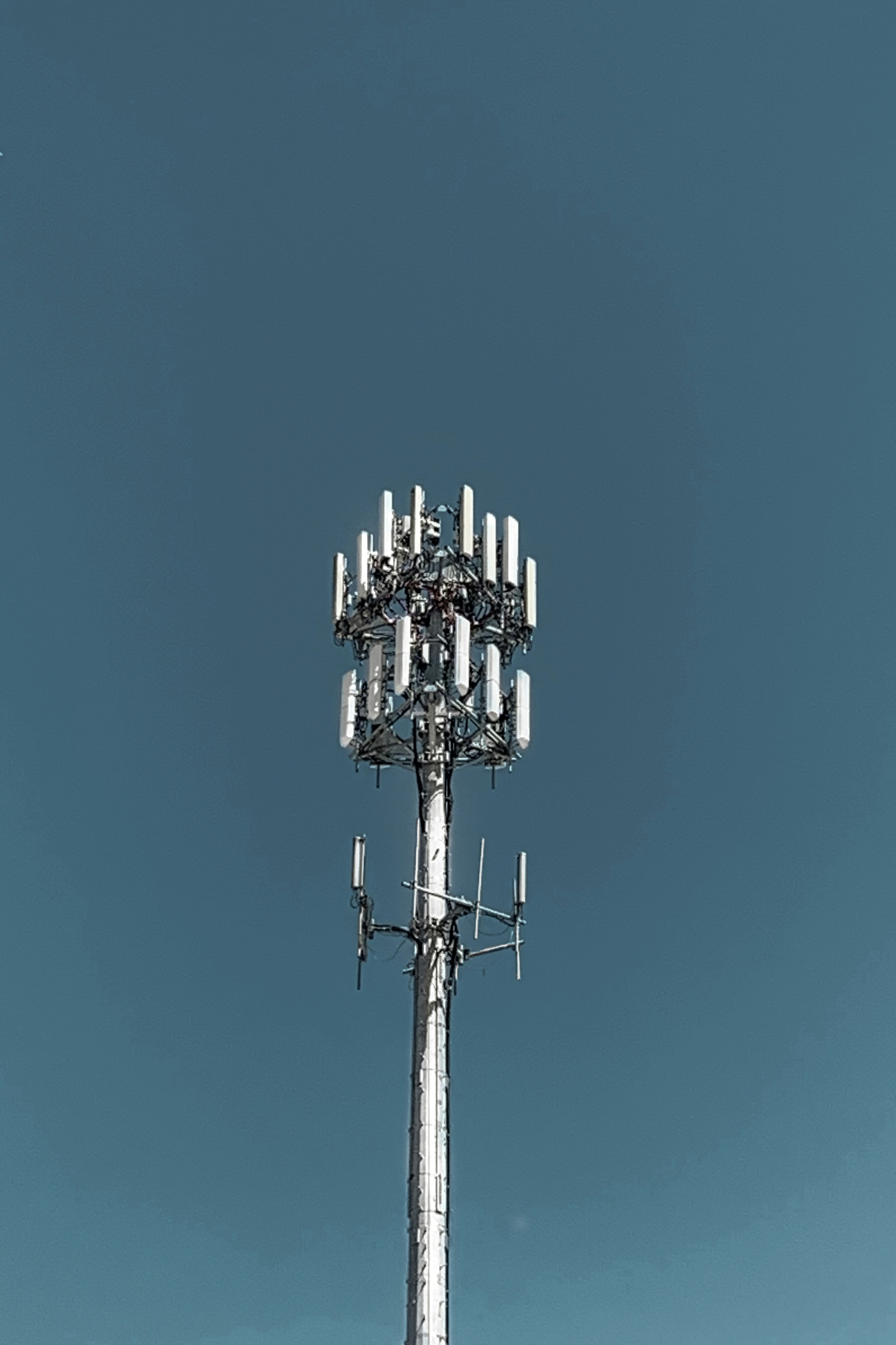 Photo by medvedev_photographer