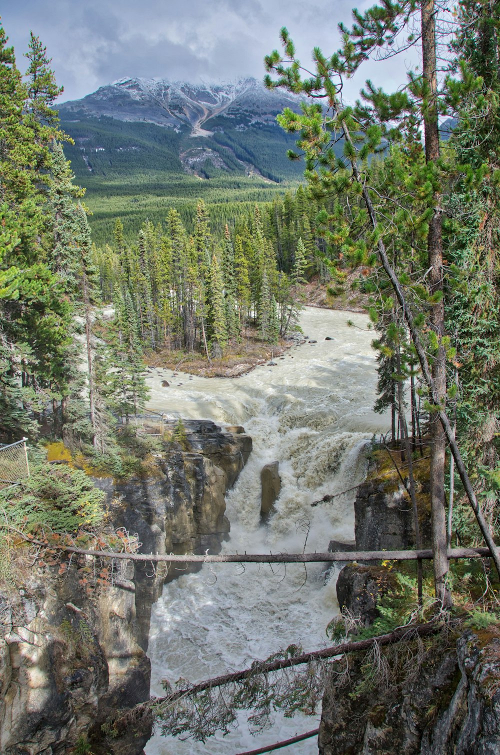 river waterfalls and trees during day