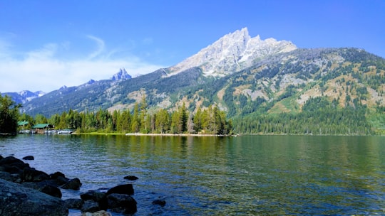 river near mountain during daytime in Grand Teton National Park United States