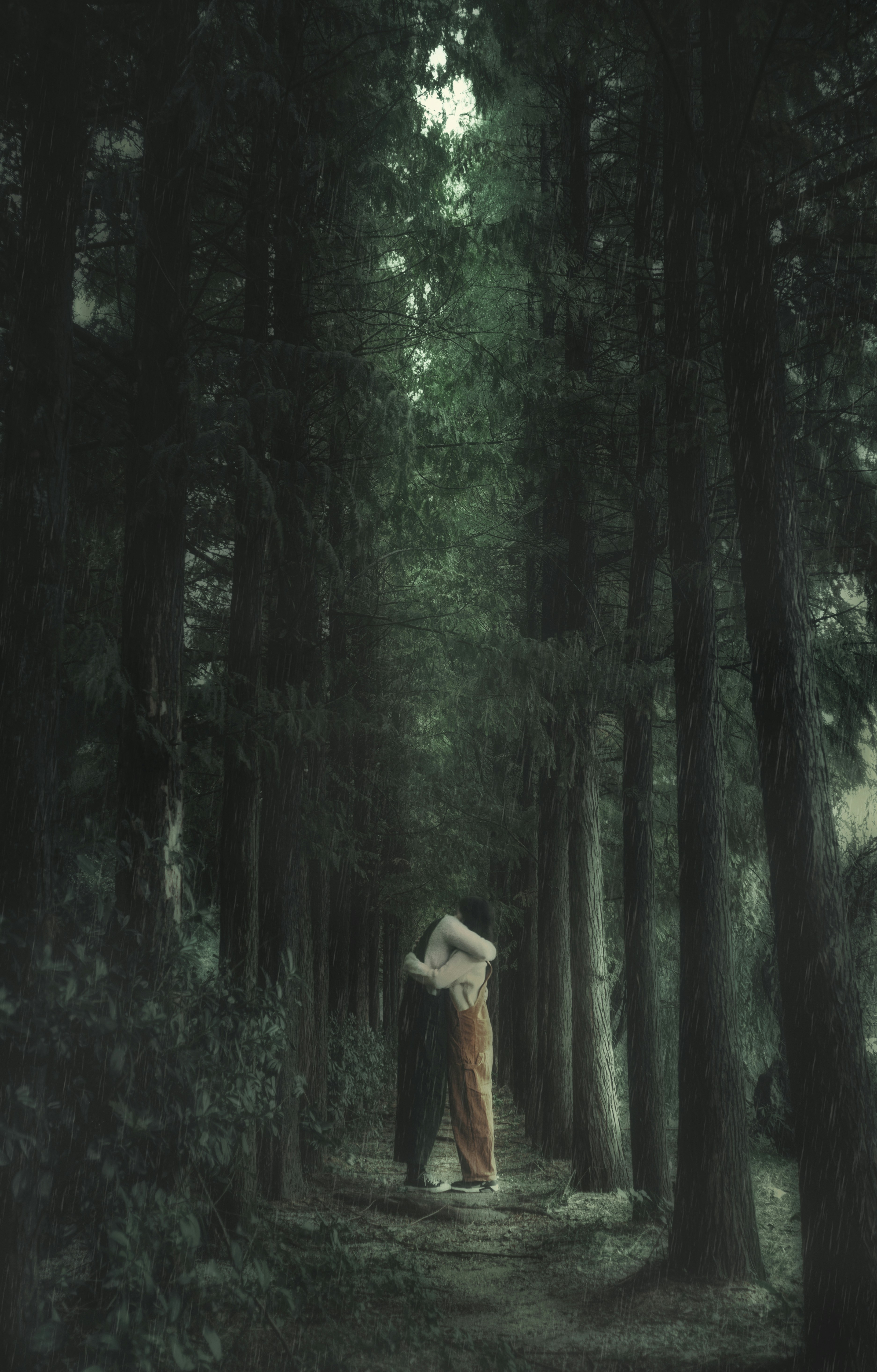 man and woman on green forest during daytime