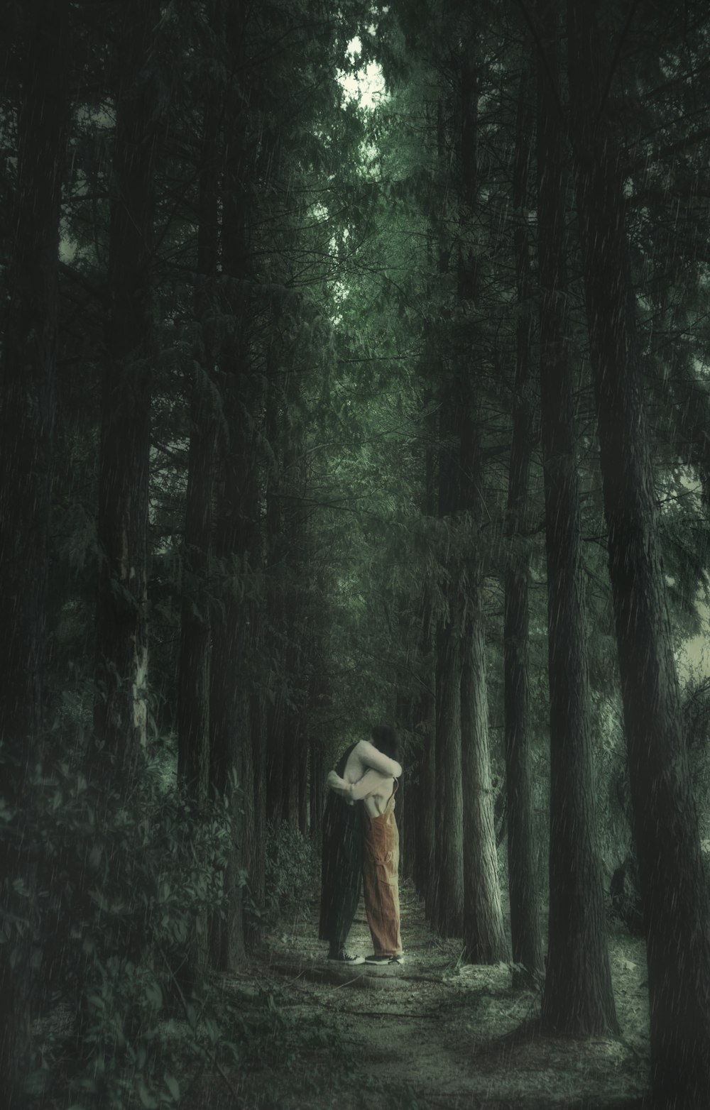 man and woman on green forest during daytime