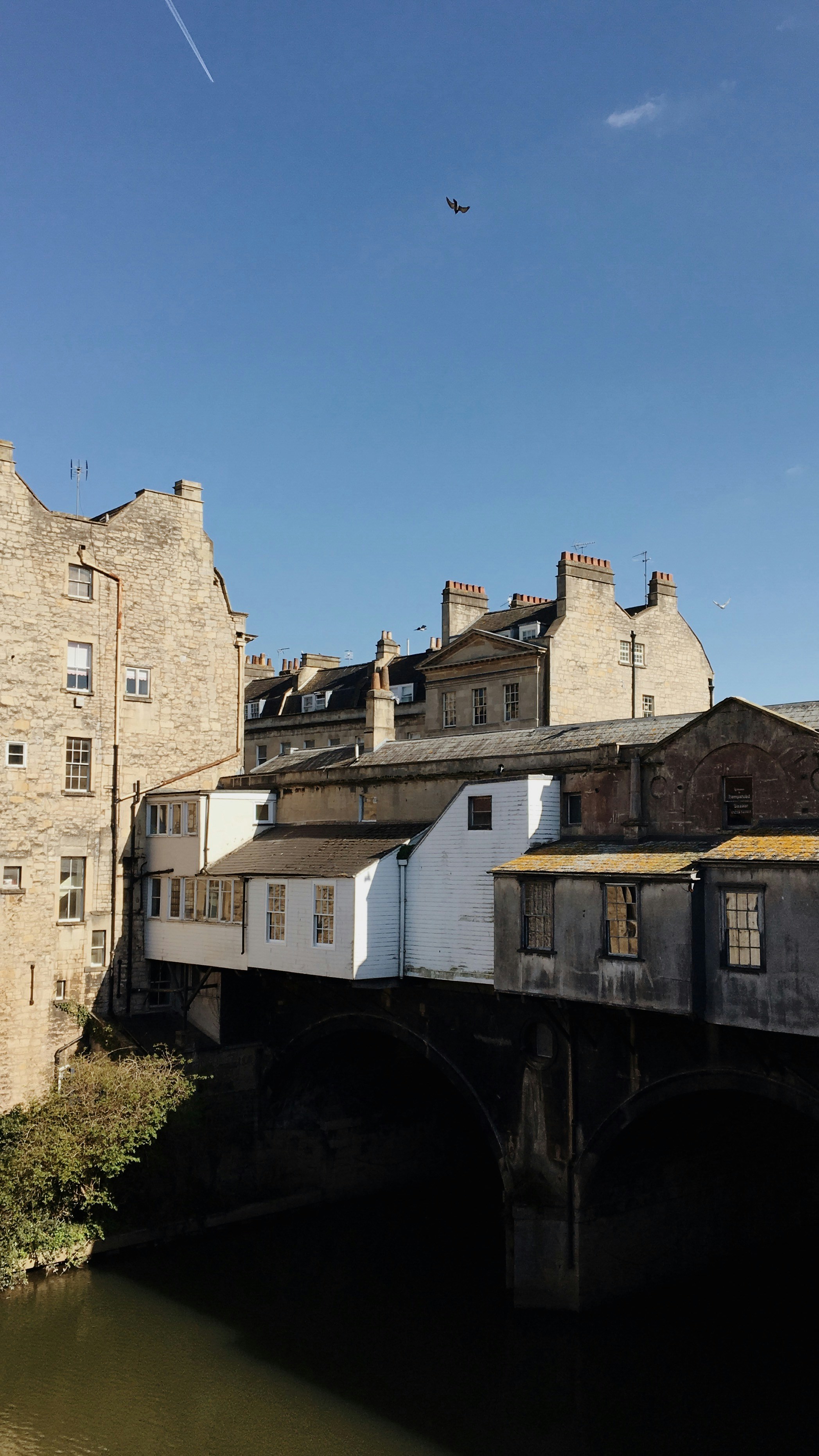 Photo by matthewsanchez_