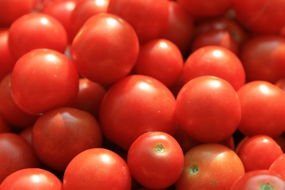 tomato fruits