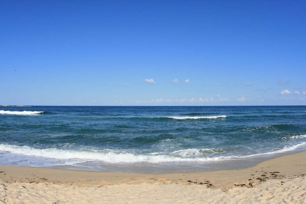 body of water during daytime