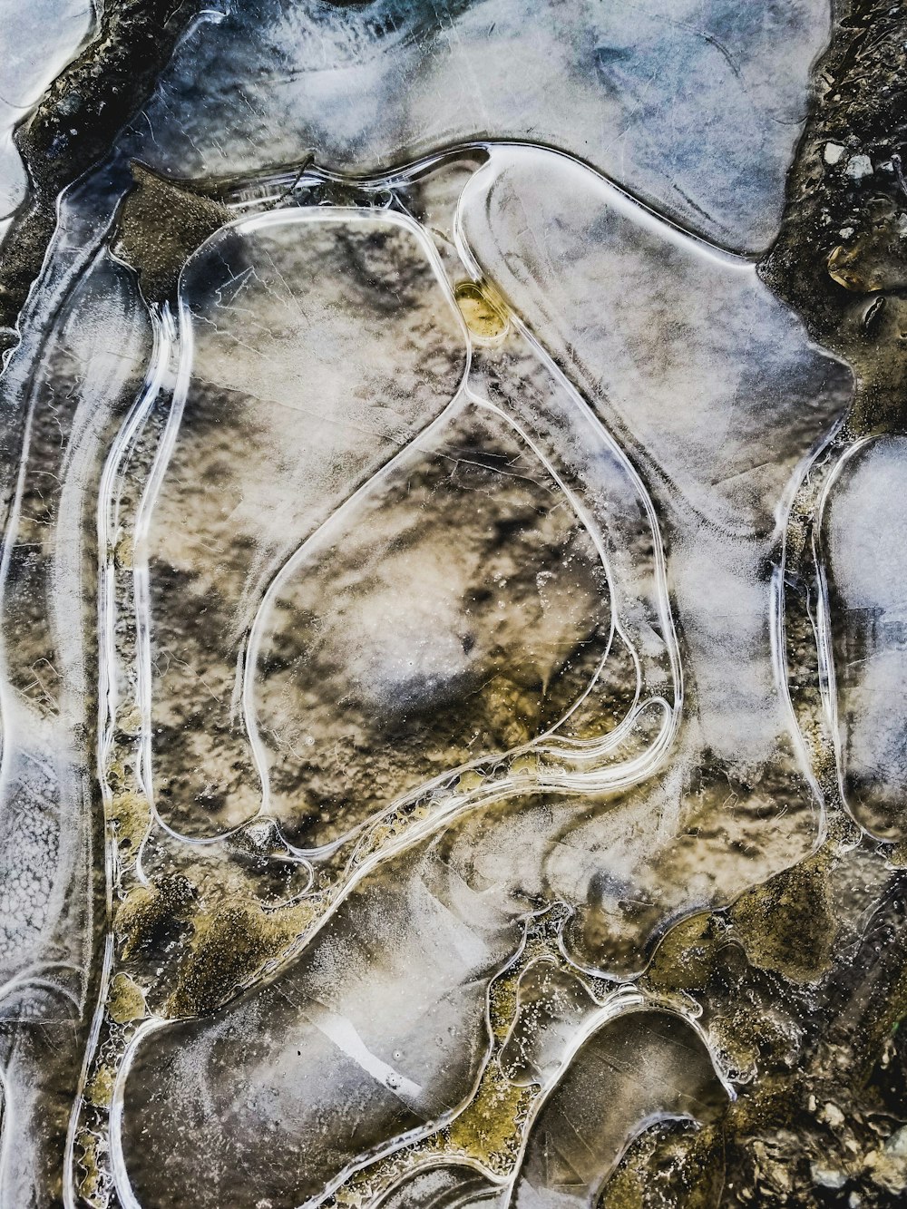 a close up of a rock with ice on it