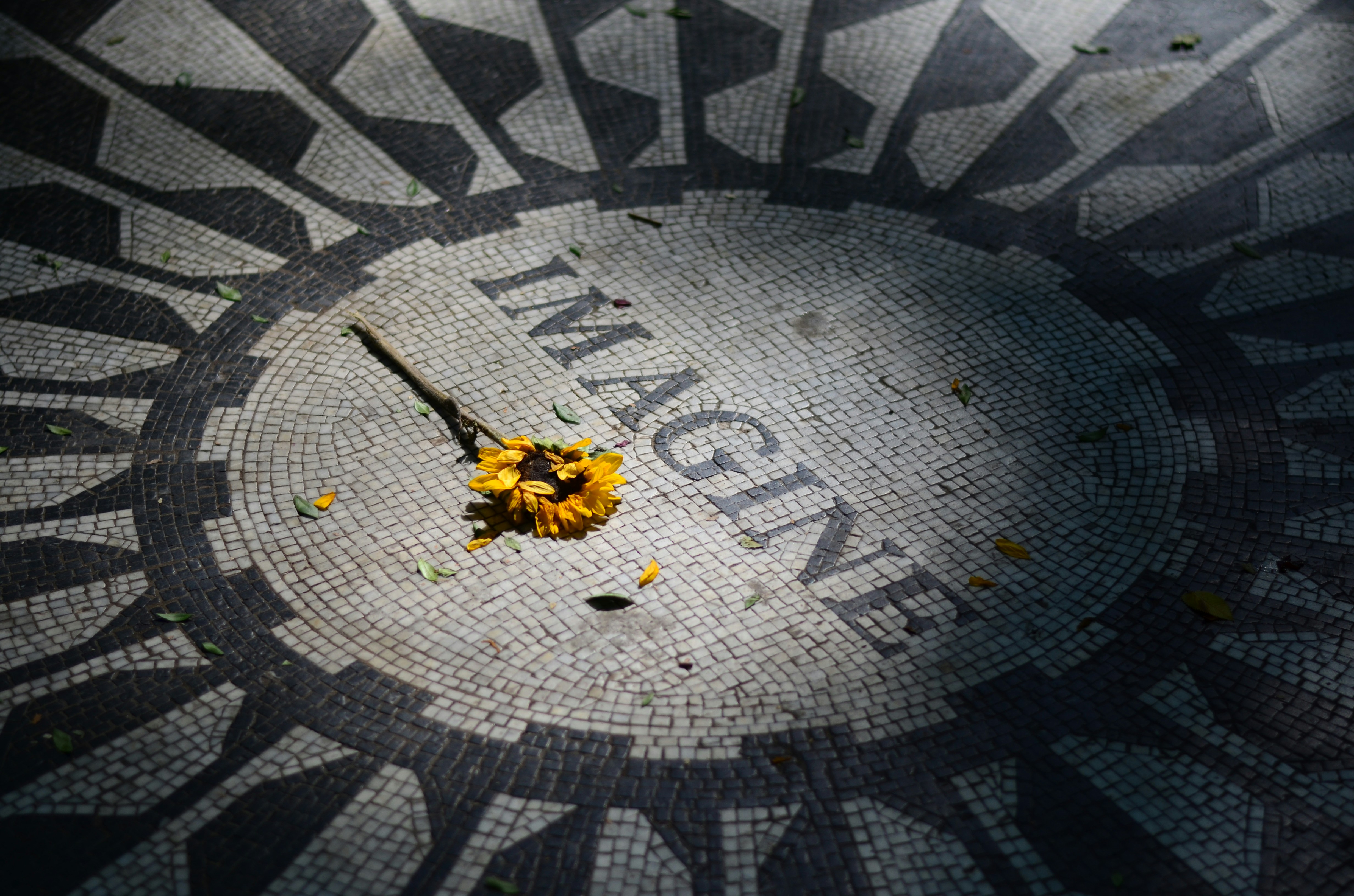 The Mosaic That Says Imagine: Inside the Quiet Pilgrimage of Strawberry Fields