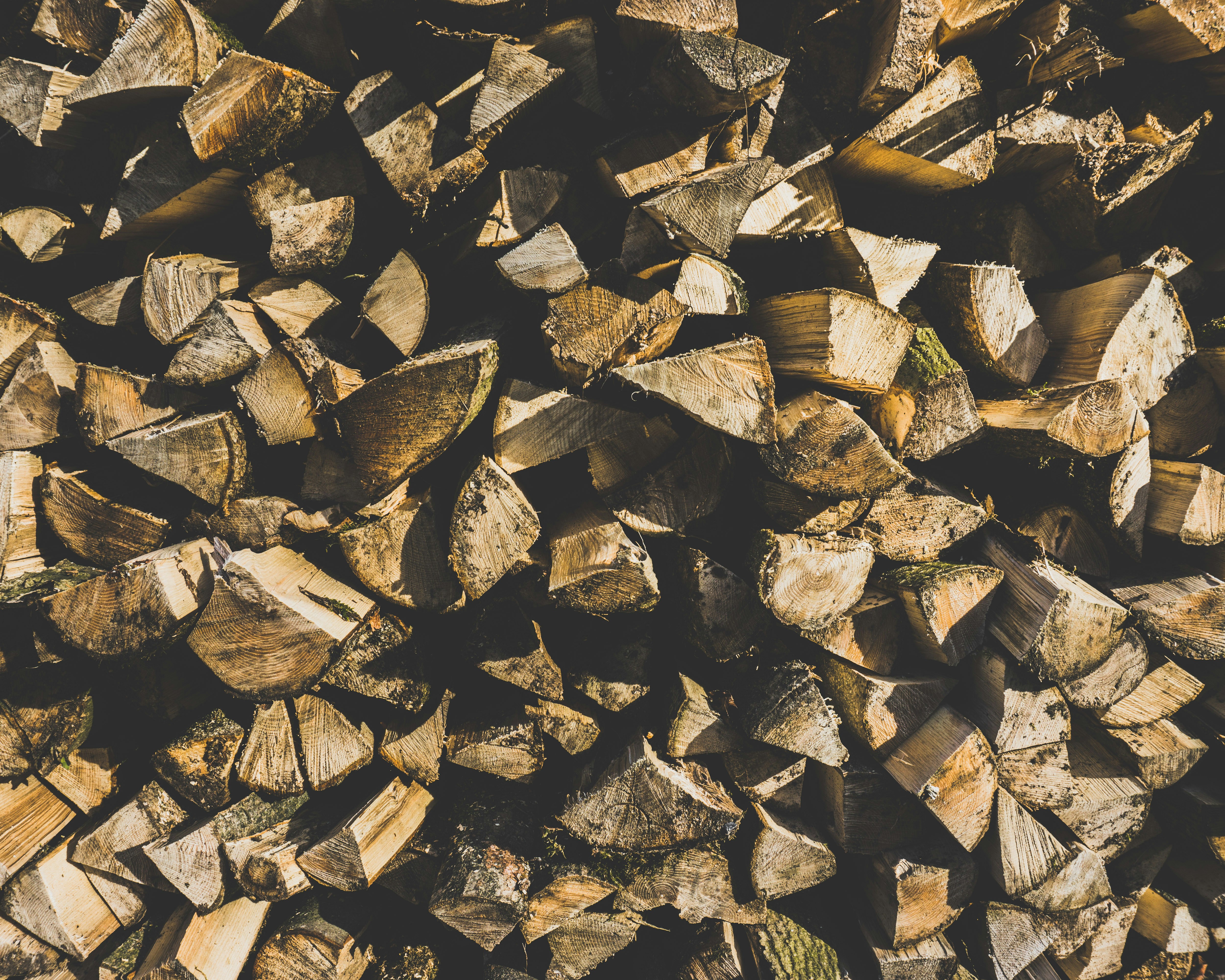 Photo by wasted_youth