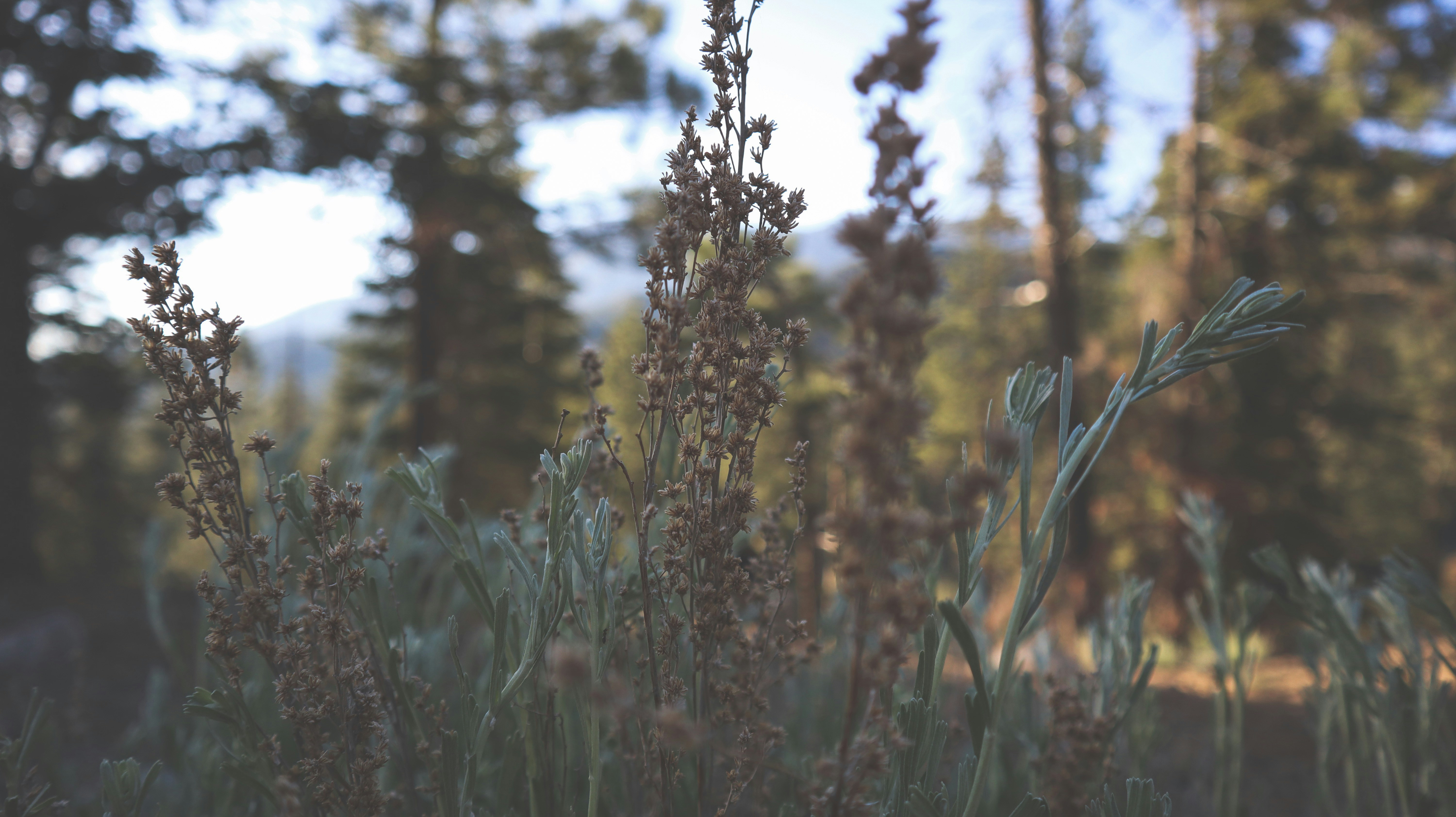 Photo by pnavarro199