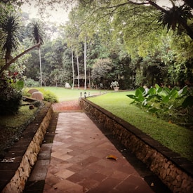A serene garden scene featuring a stone walkway leading through lush green grass and abundant foliage. Tall trees and vibrant plants create a canopy overhead, with a small structure or gazebo visible in the background. The area is dotted with garden lamps and decorative elements, providing a tranquil, inviting atmosphere.