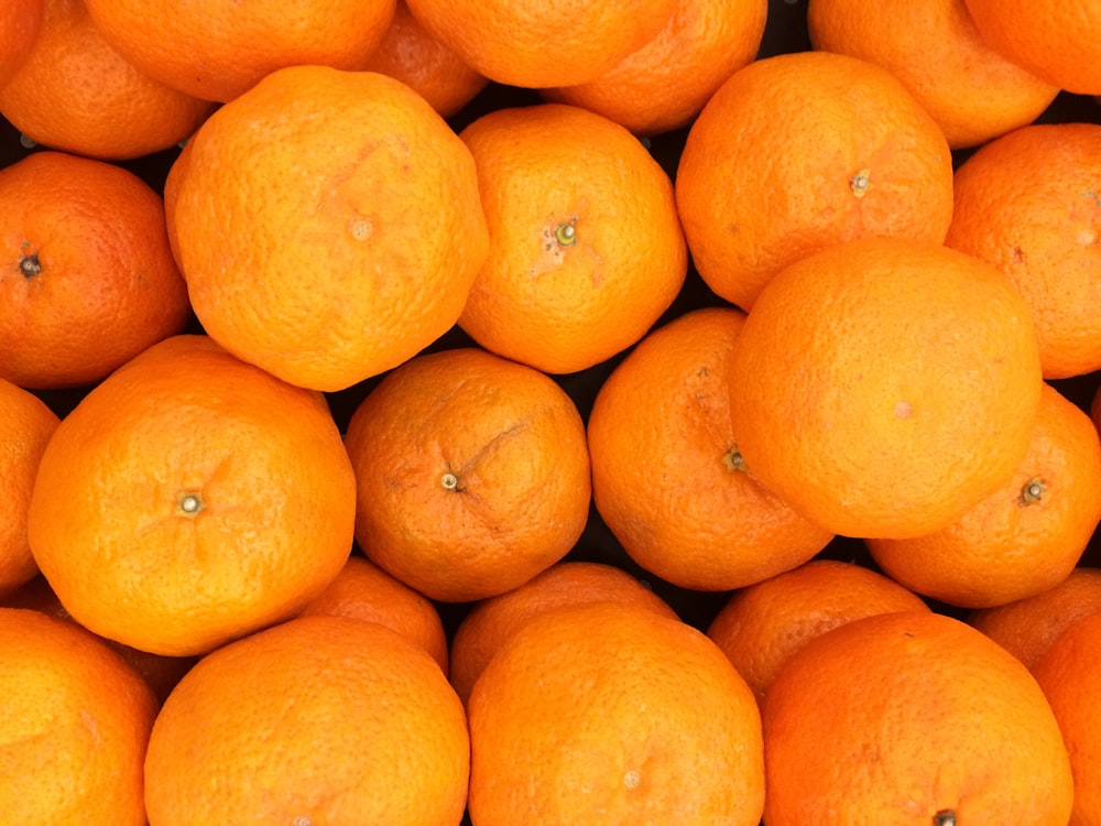 closeup photography of citrus fruits