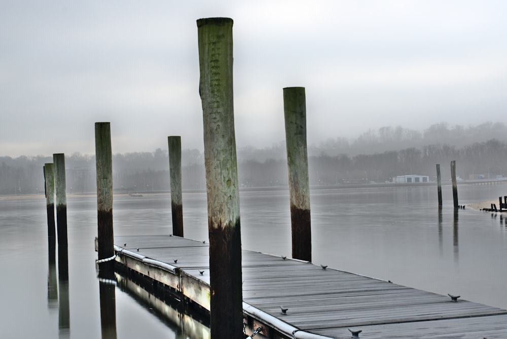 photography of wooden dock during daytime