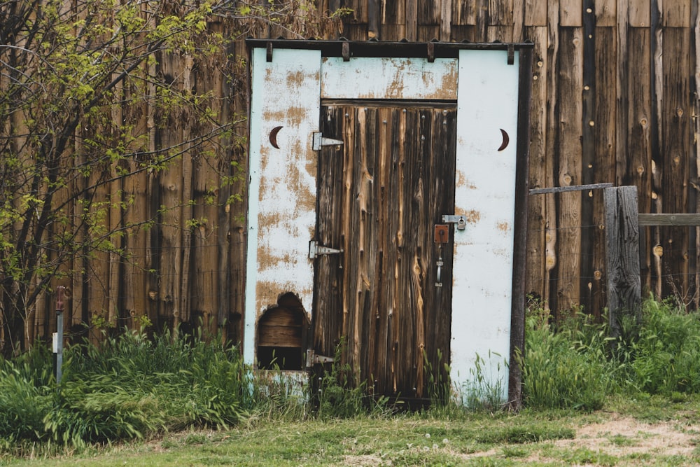 closed brown wooden door near trees