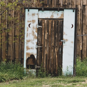 closed brown wooden door near trees