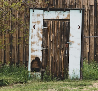 closed brown wooden door near trees