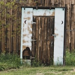 closed brown wooden door near trees