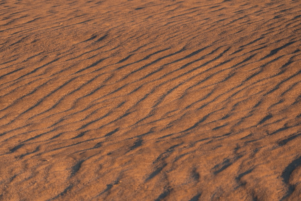désert brun