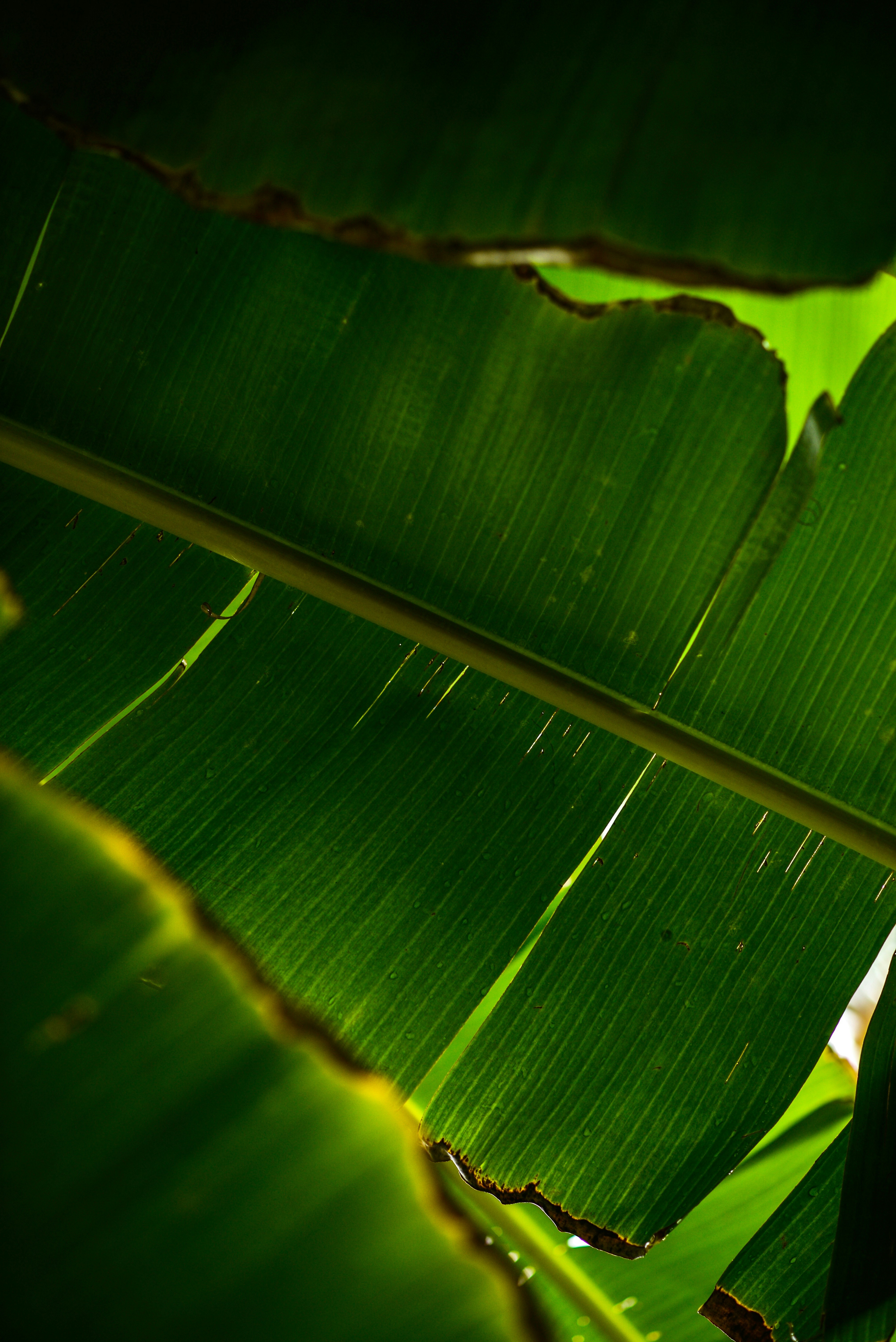 Photo by nauttephotos