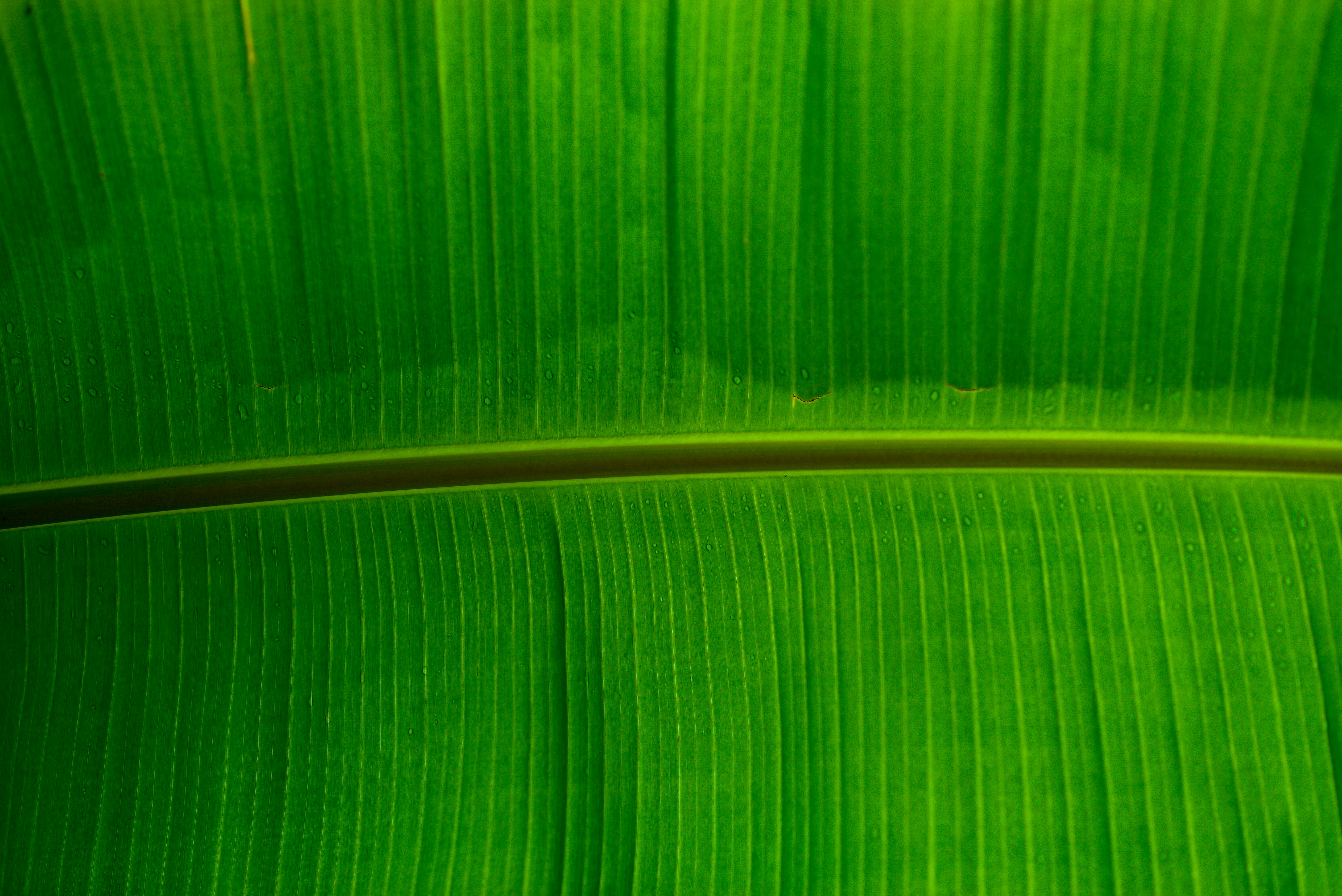 Photo by nauttephotos