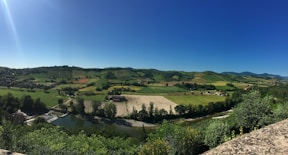 green fields