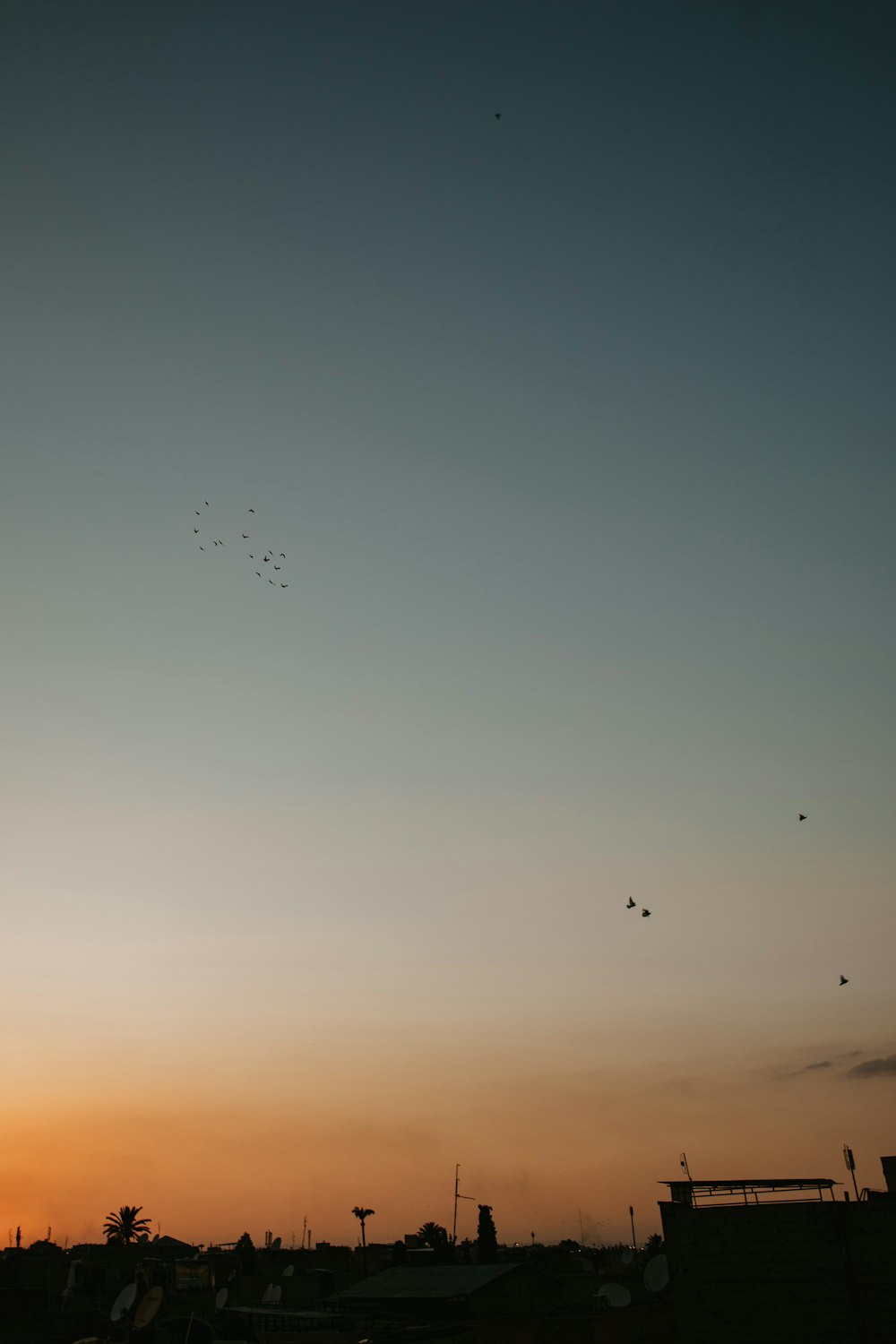 a group of birds flying in the sky at sunset