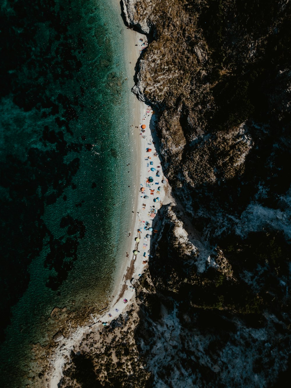 people near seashore viewing mountain