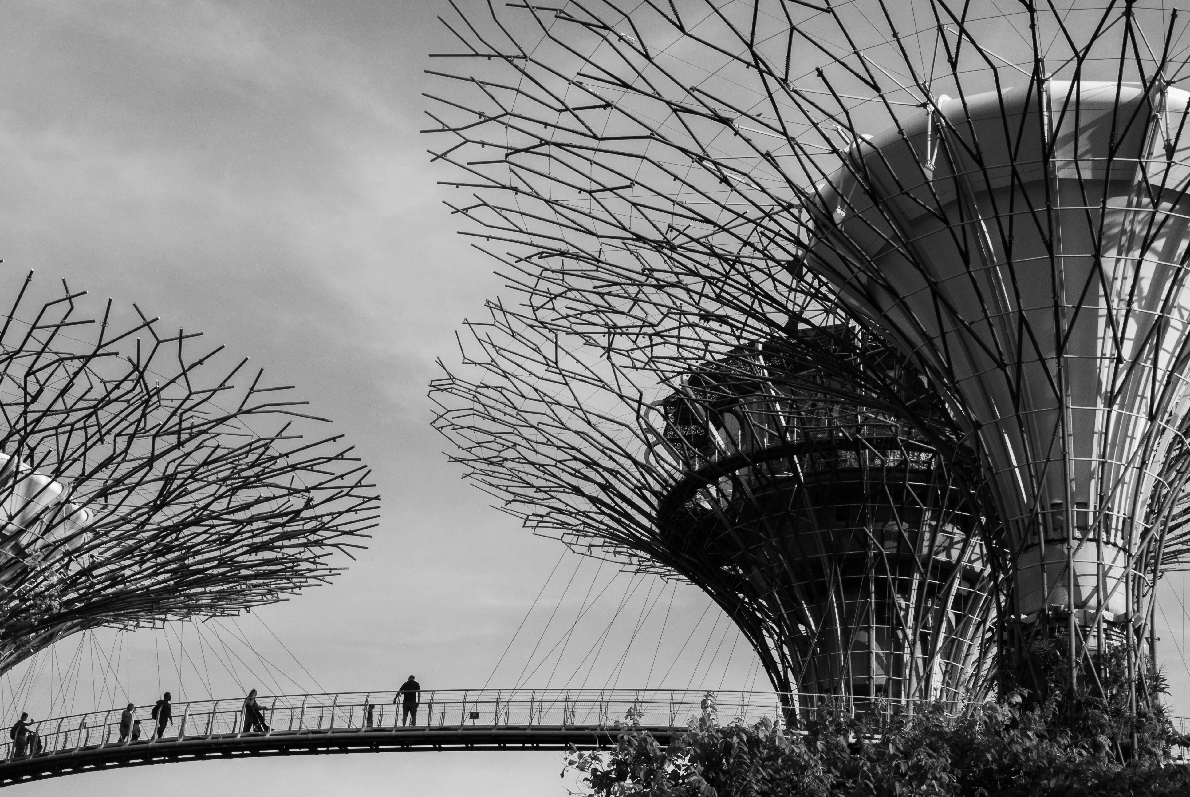 Free download azaman