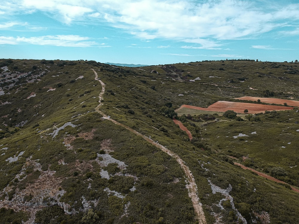 Foto de ángulo alto de la carretera marrón en la montaña verde